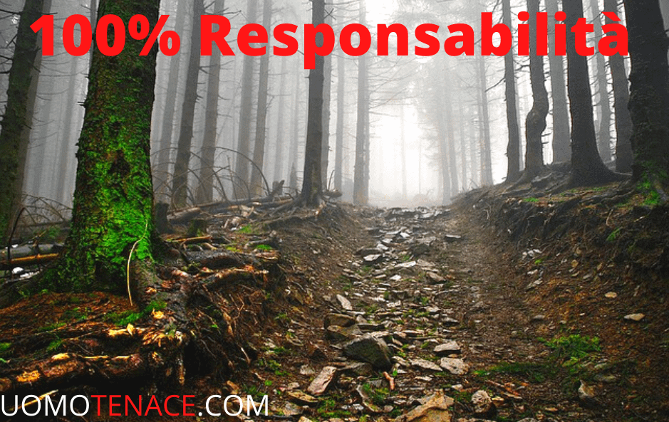 100% responsabilità